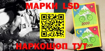 гидропоника Краснодар