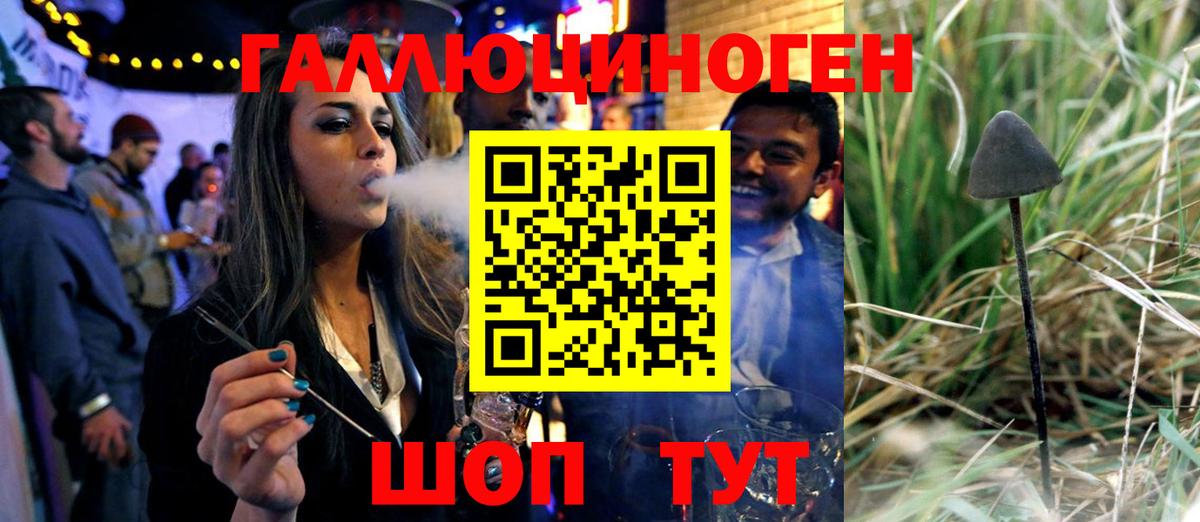 Галлюциногенные грибы GOLDEN TEACHER  Вход с VPN  Туймазы  Галлюциногенные грибы мицелий 